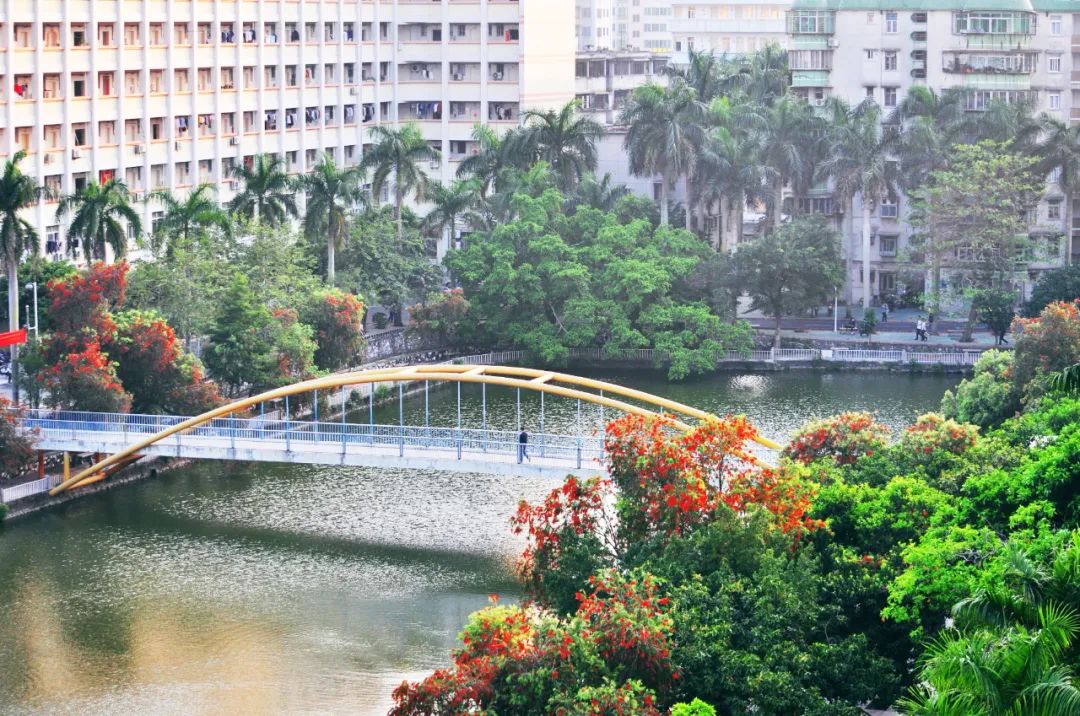 广东医科大学2023年定向生,广东医科大学2015招生计划表