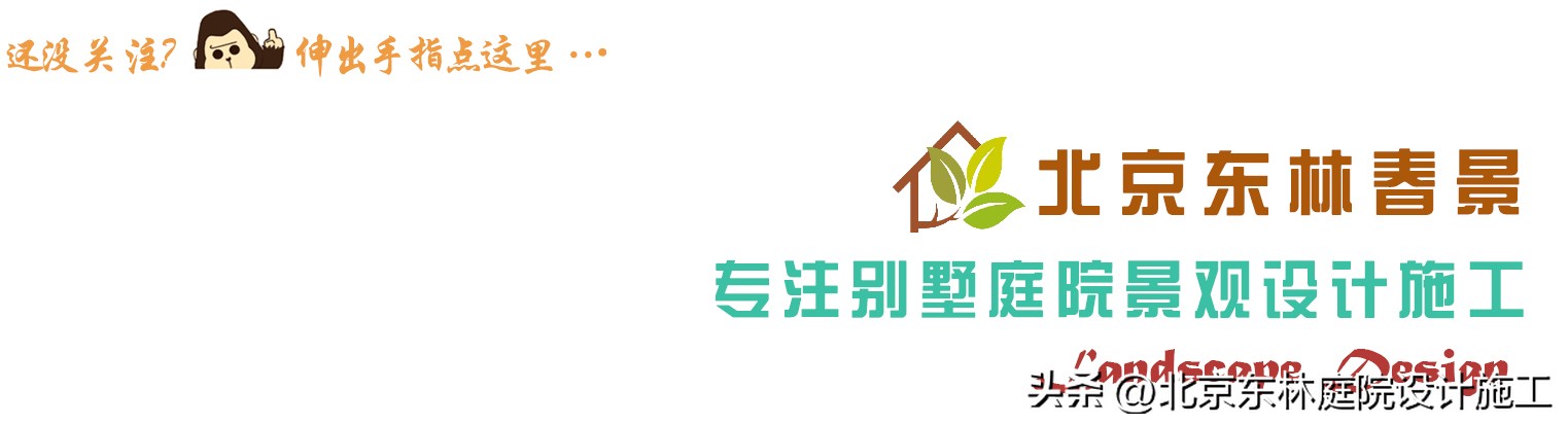 雨天怎么给植物光照,下雨天如何帮植物挡雨