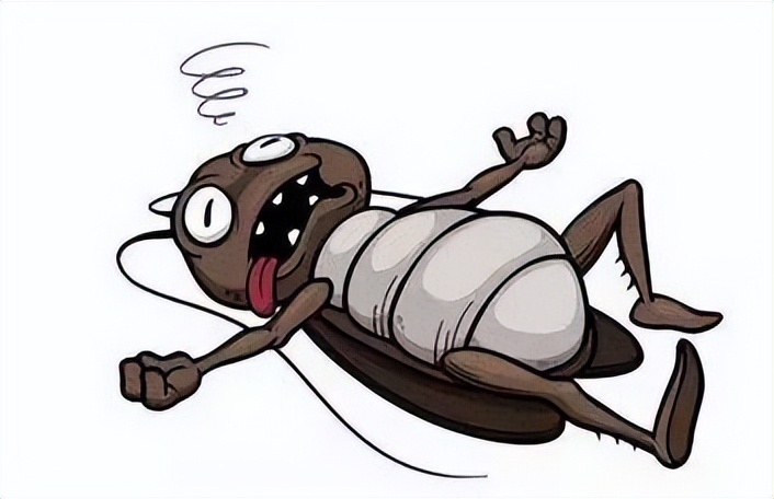 厨房里面的蟑螂怎么预防,如何不用蟑螂药预防蟑螂