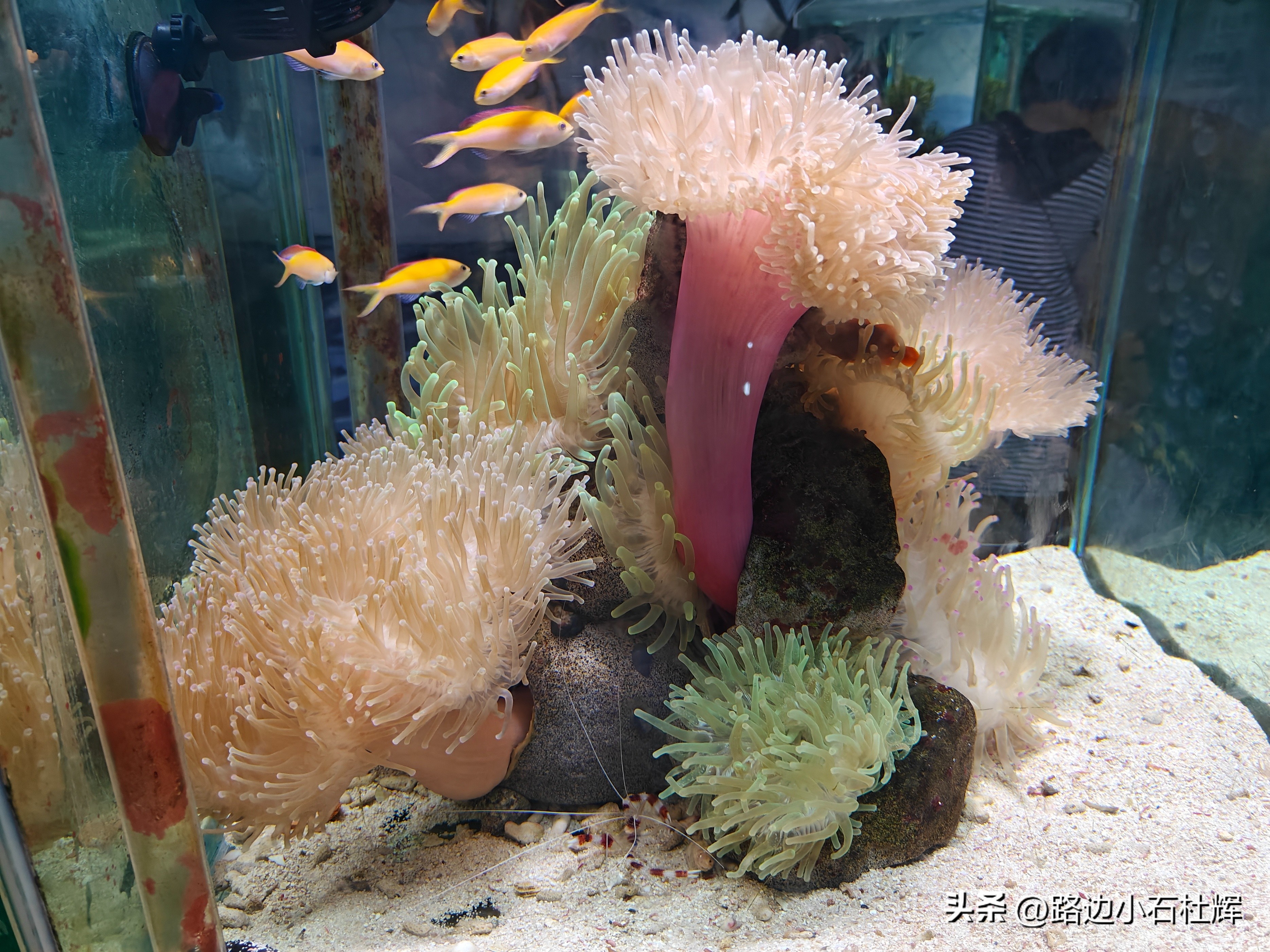 游游人间,游旅人间