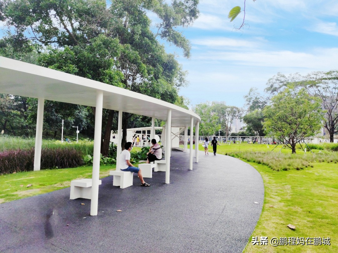 观澜最近翻新过的公园,龙华观澜中心公园