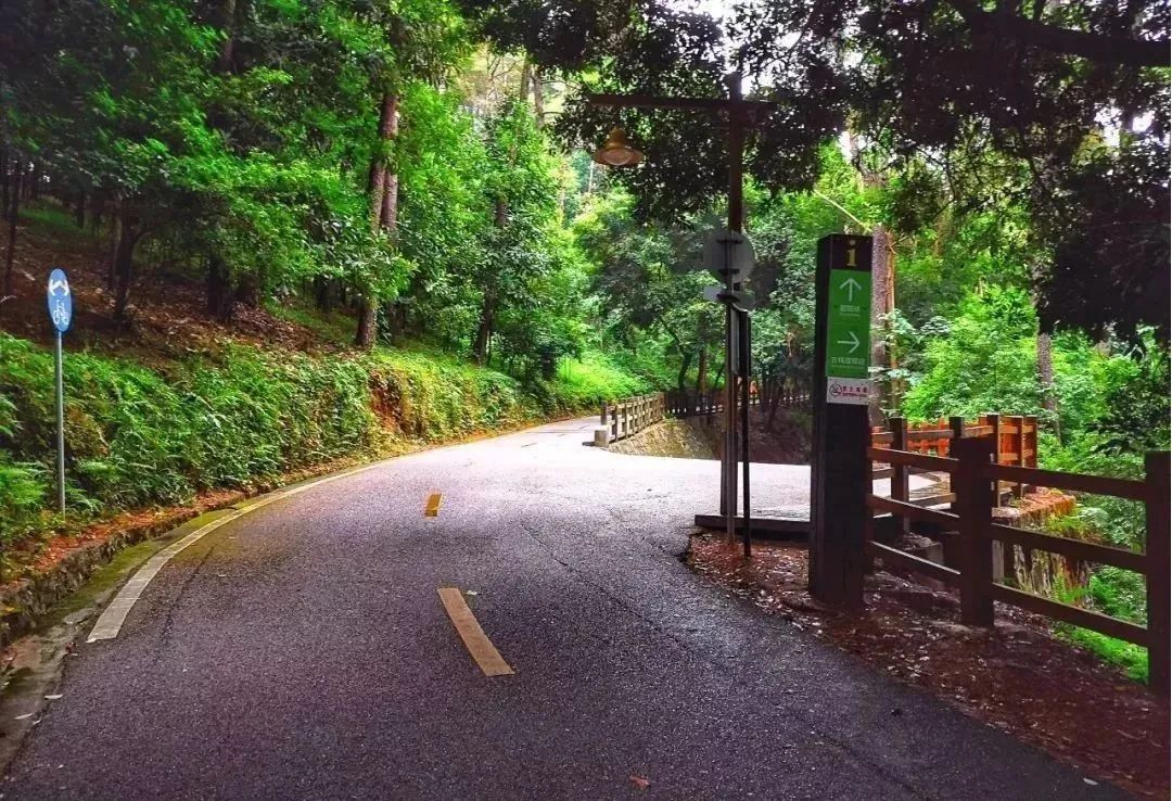 这些韶关最值得爬的山，你登过几座？