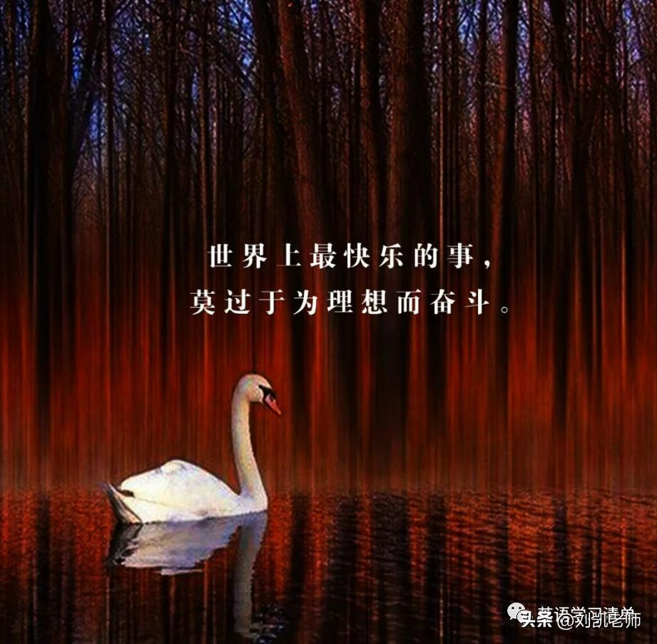 2023年北京市丰台区初三英语一模作文解析