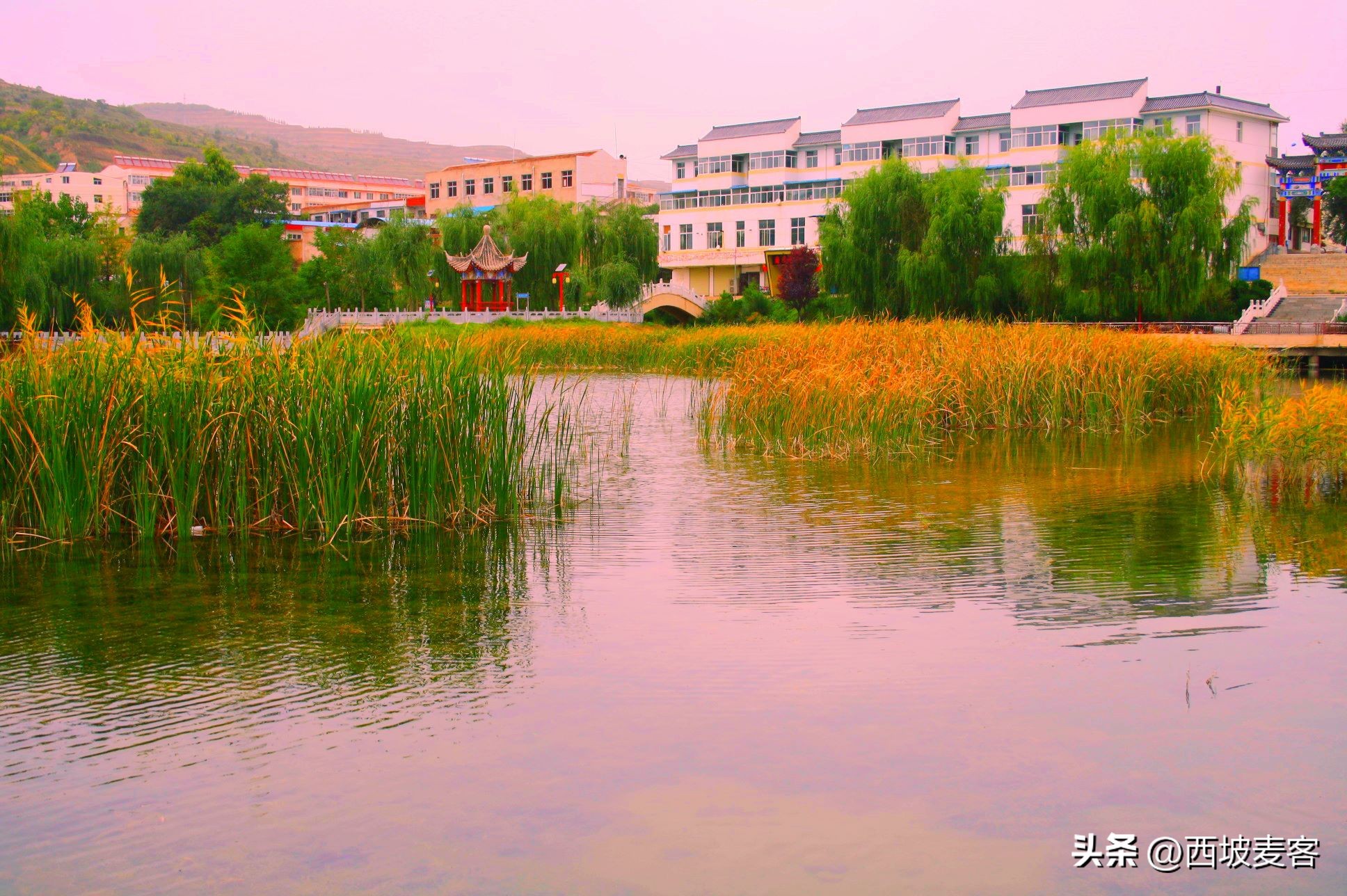 论述辛亥革命的历史意义和局限性,辛亥革命的历史意义及历史局限性