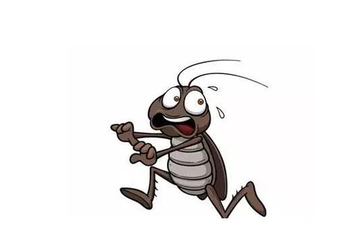 怎么避免蟑螂晚上爬到床上,蟑螂躲起来了怎么消灭蟑螂