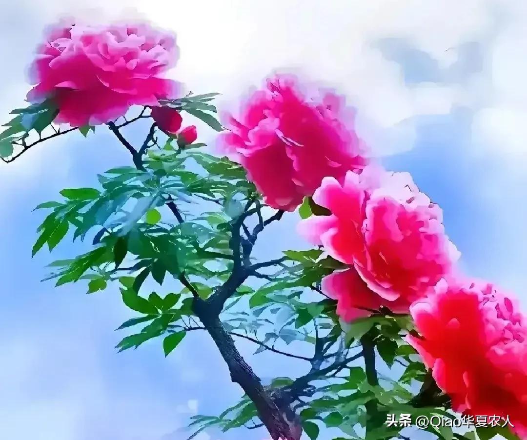 当你迷茫失去方向怎么办,当你迷失方向的时候最该做什么