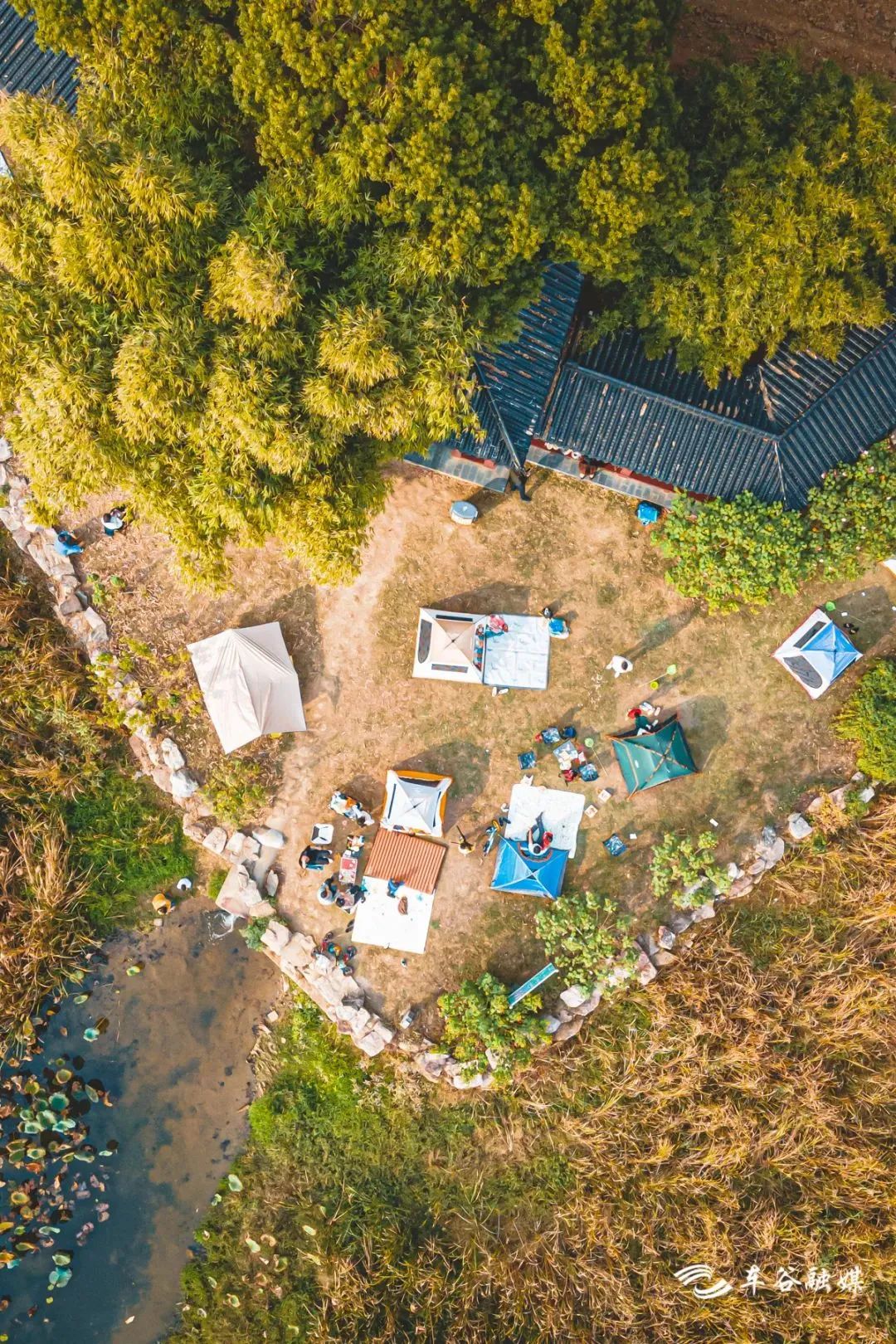 秋日暖阳骑行绿道,骑车绕城绿道值得打卡的推荐