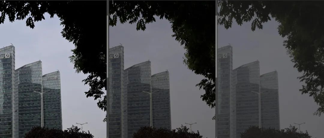 抛开价格因素尼康Z9和Z8如何选,尼康z8为什么比z9便宜