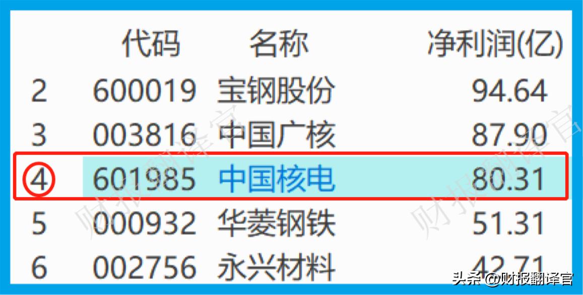 中国核电第一大股票,中国核电毛利率