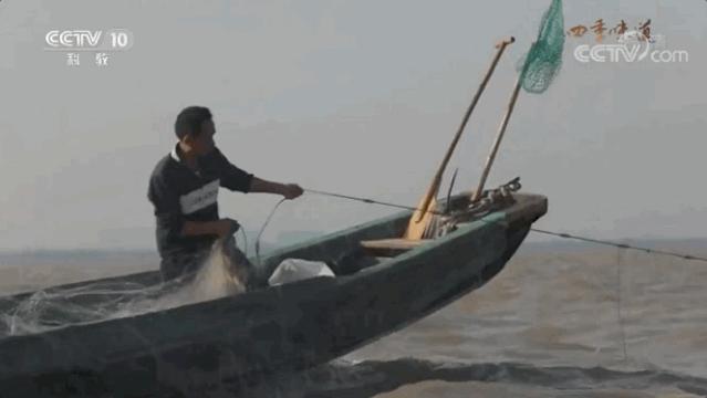 这座佛系安逸的江南老城被赞“全国最美森林火车站”