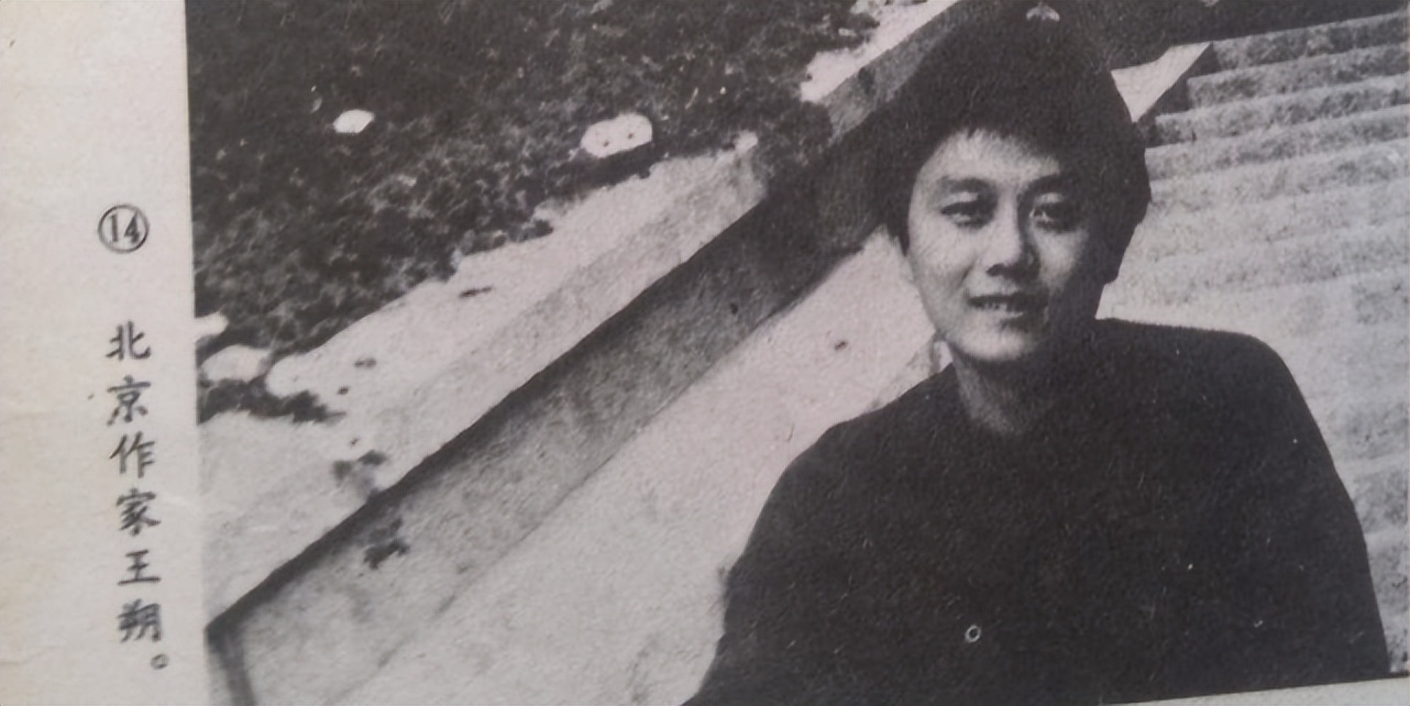 王朔为什么被称为京圈大佬,王朔现象是否是痞子文学