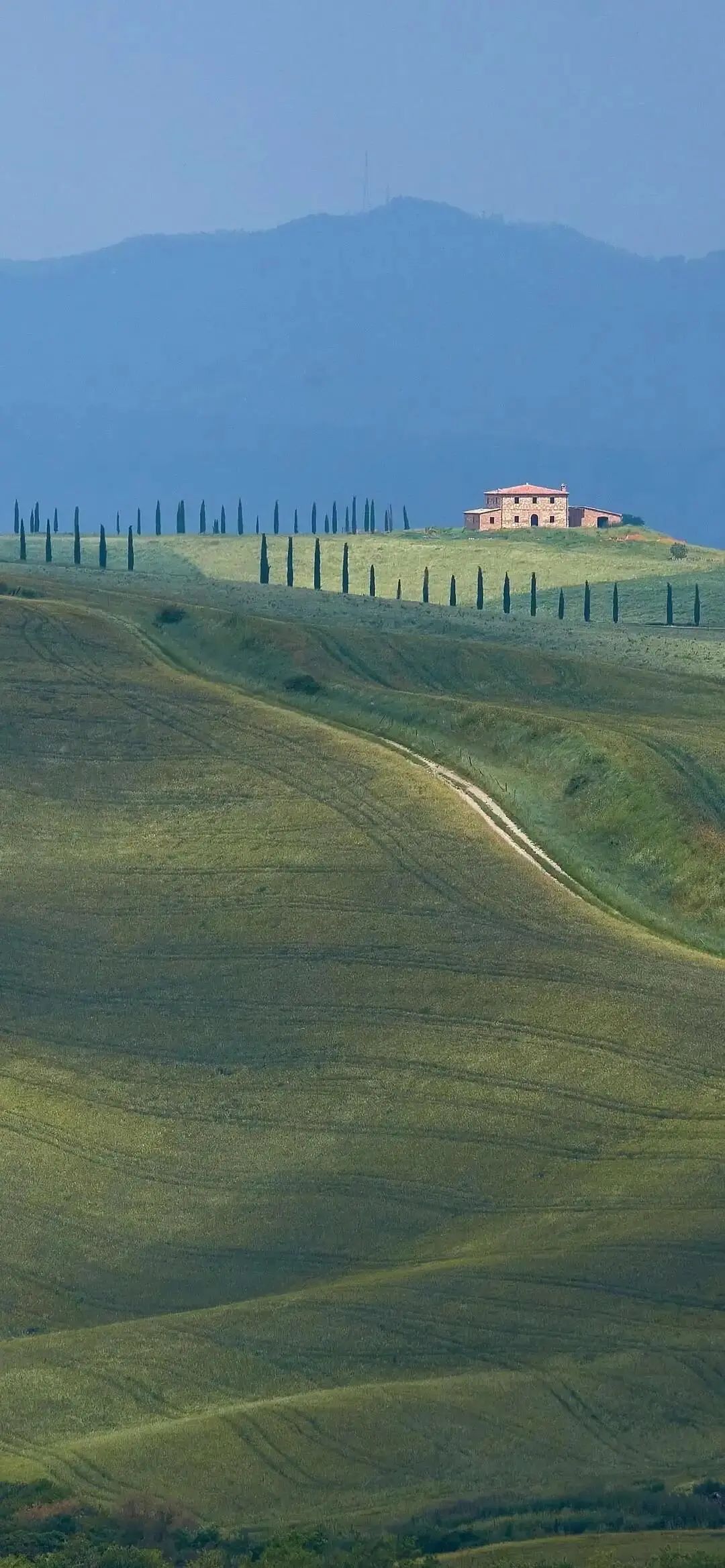 100张全屏绿色山水护眼壁纸,2021超清绿色护眼壁纸风景