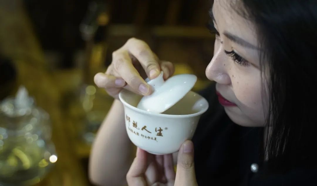 浮生茶语全部视频,浮生茶语的下一句