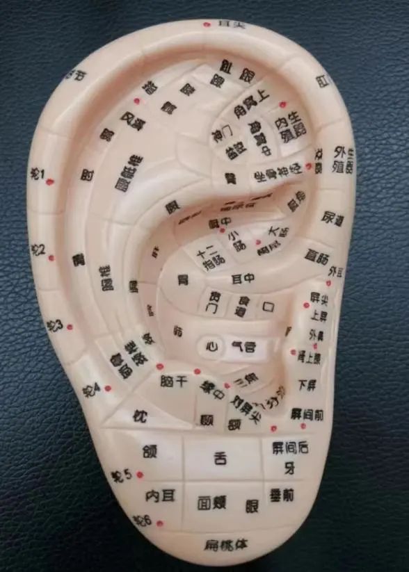 半夜失眠按哪个穴位,夜里失眠按哪个穴位