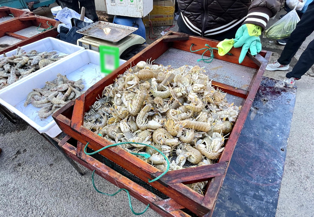 带大家看看东北早市物价多便宜,看东北早市物价冬天囤菜