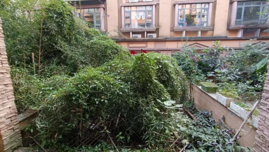 学区房崩盘了吗,学区房神话破灭