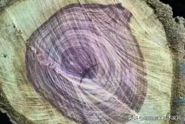 珍稀木材海南黄花梨,什么木比海南黄花梨更贵