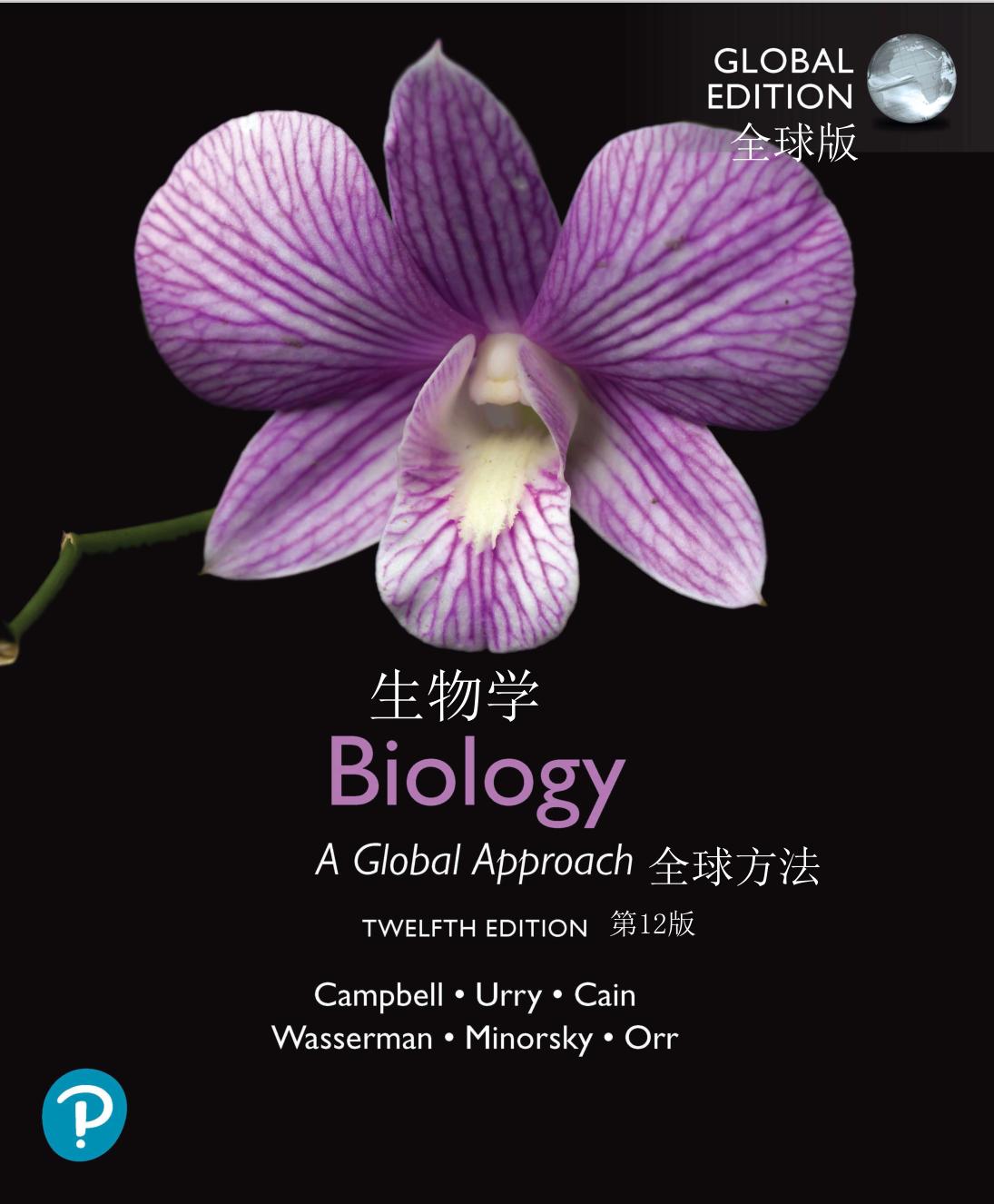 小学基础英语词汇大全人教版,小学英语1600词汇详解