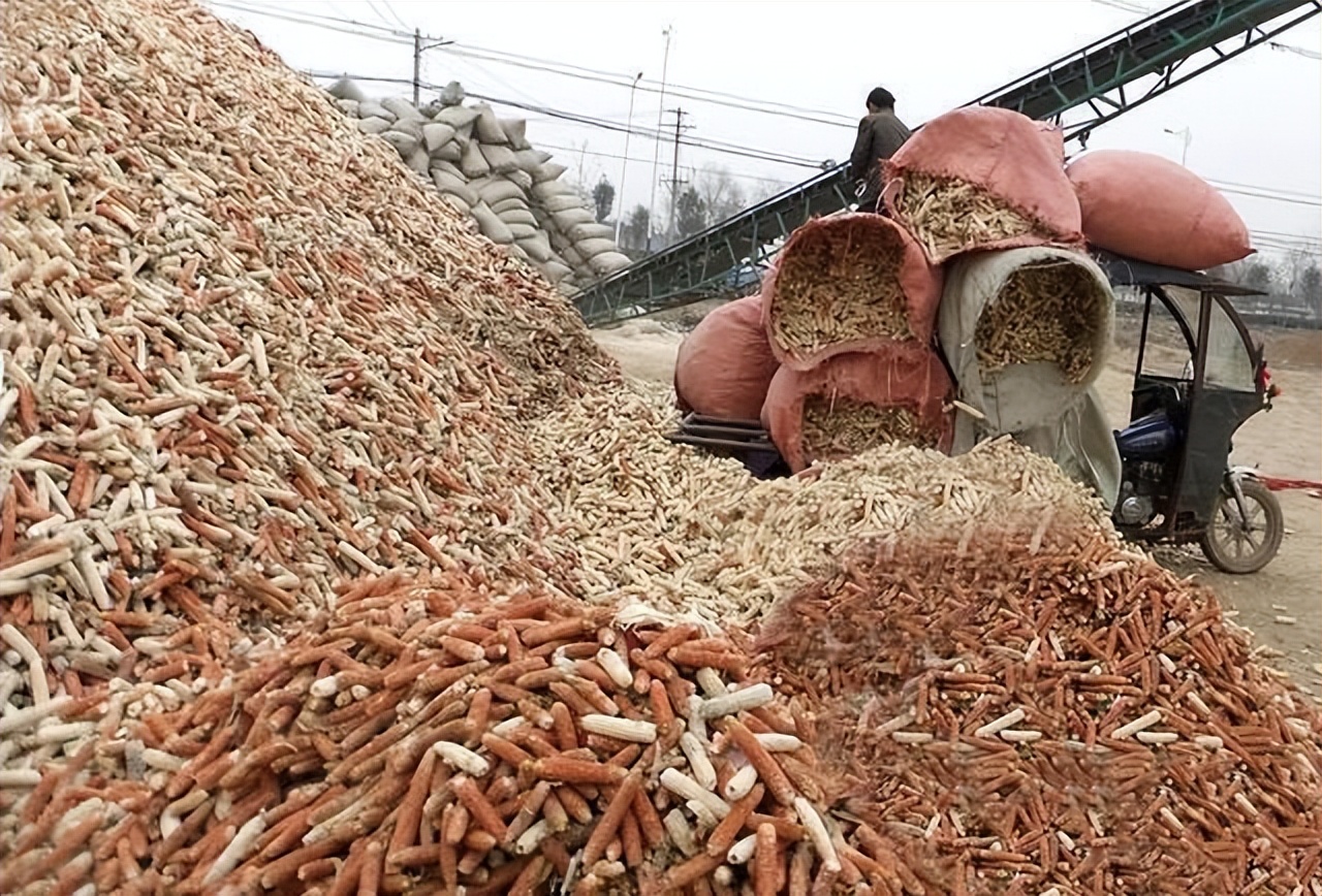 玉米芯能吃？韩国每年从我国低价进口大量玉米芯，干什么用？