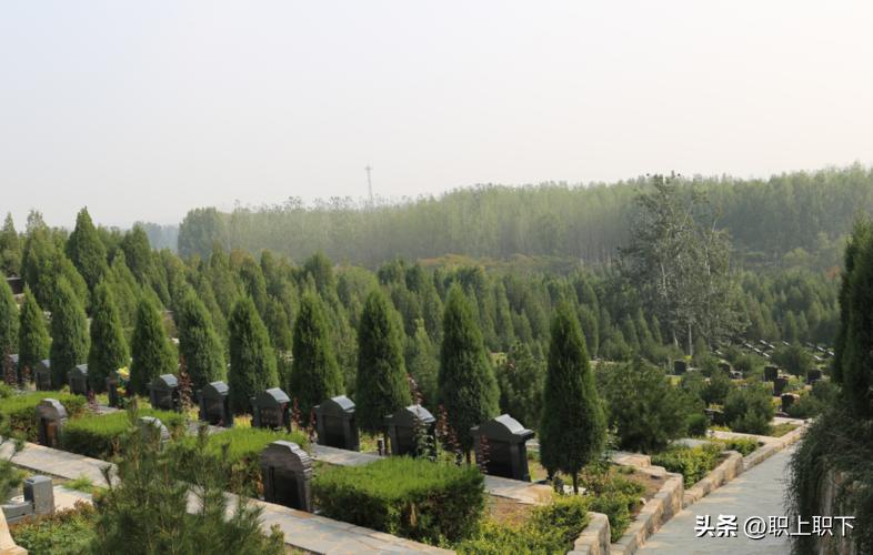 3万个职业伴娘假期五天日薪2000，揭秘那些冷门又赚钱的新职业！