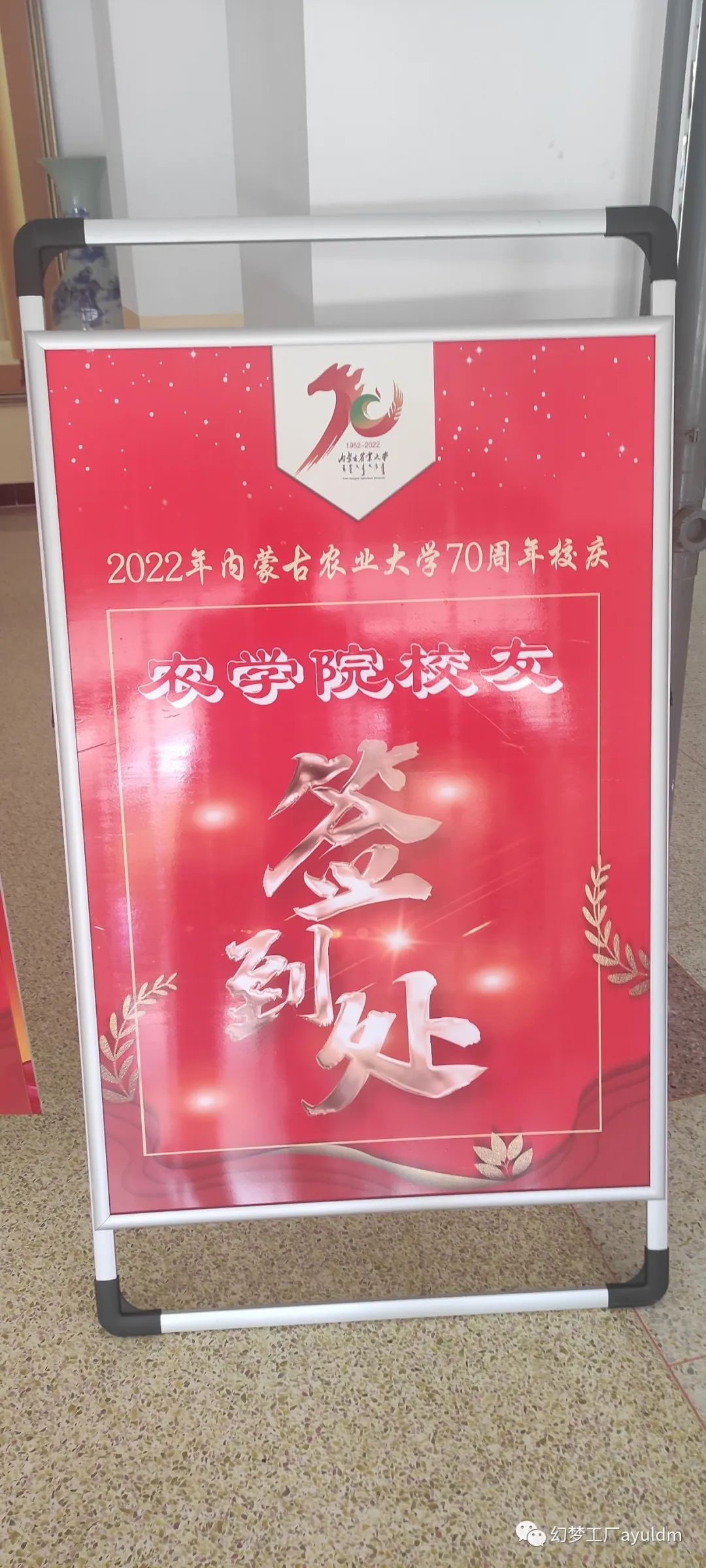 你好母校作文800字,你好母校作文