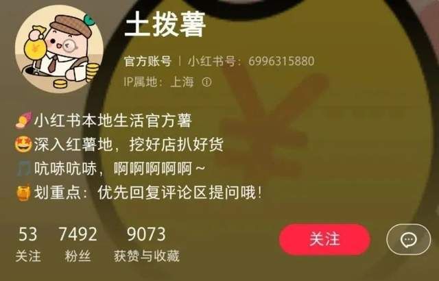 乐凯撒现状,乐凯撒创业视频