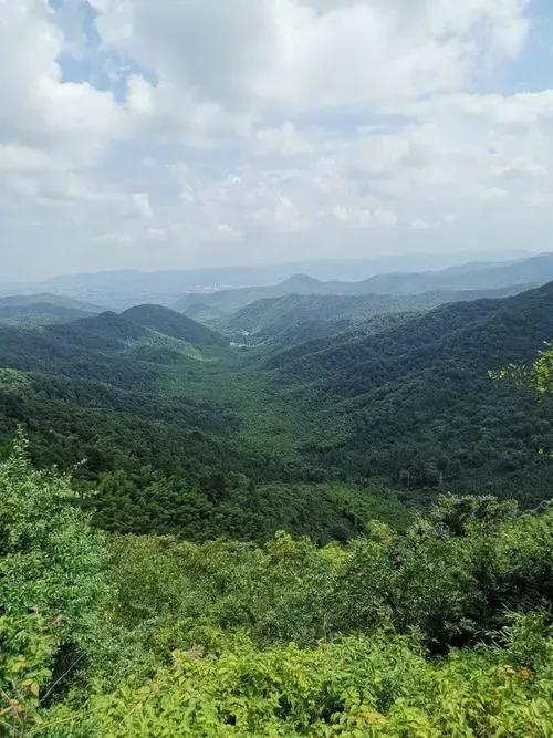 宜兴竹海购票政策,宜兴竹海玻璃栈道