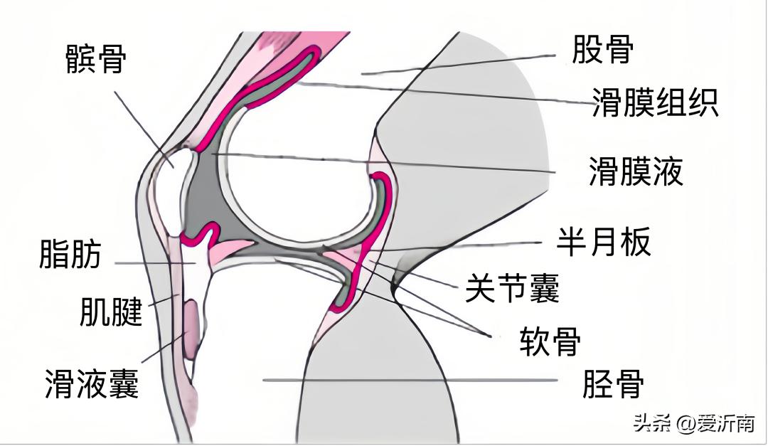 一运动关节就咔咔直响,一运动就关节僵硬怎么办