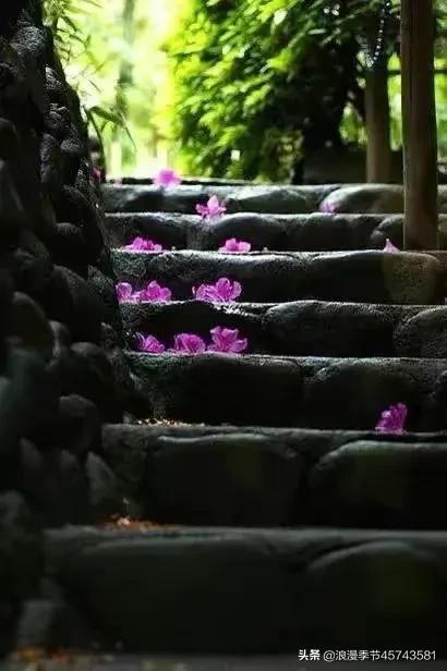 最美人间四月天散文,最美人间四月天的散文