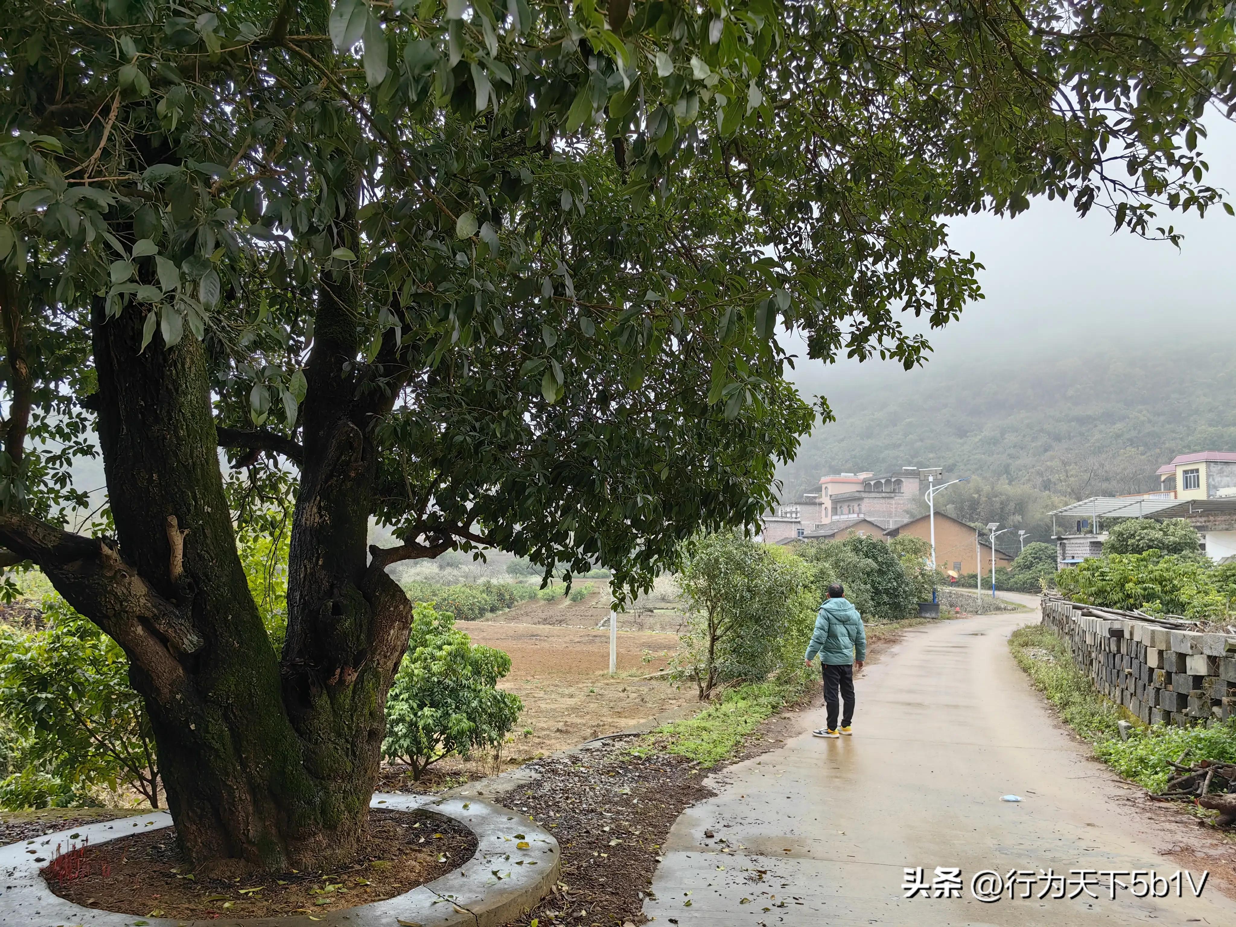 【平乐十里画廊鬼斧神工伟人石像】穿越唐*平宋**乐榕津千年古镇！