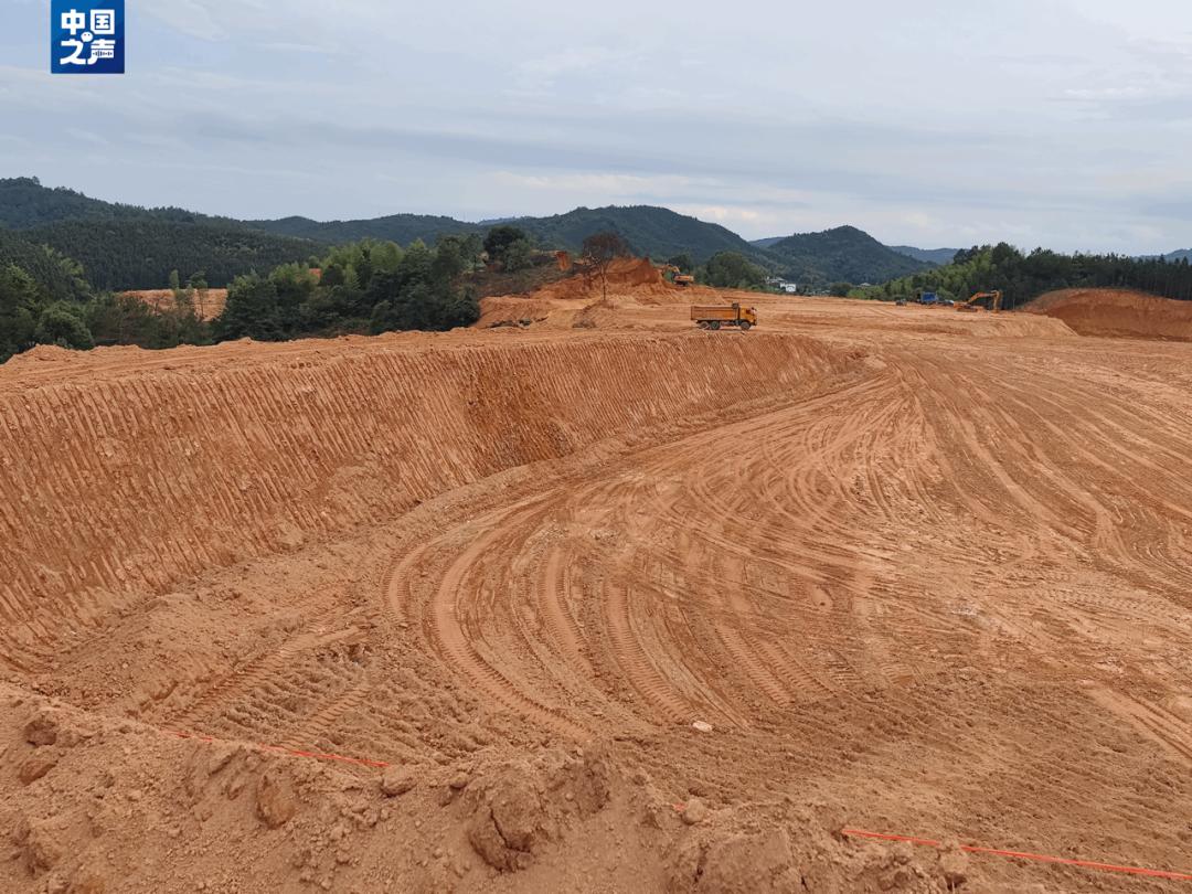江西无证砍伐生态林,一地为建产业园砍伐林地