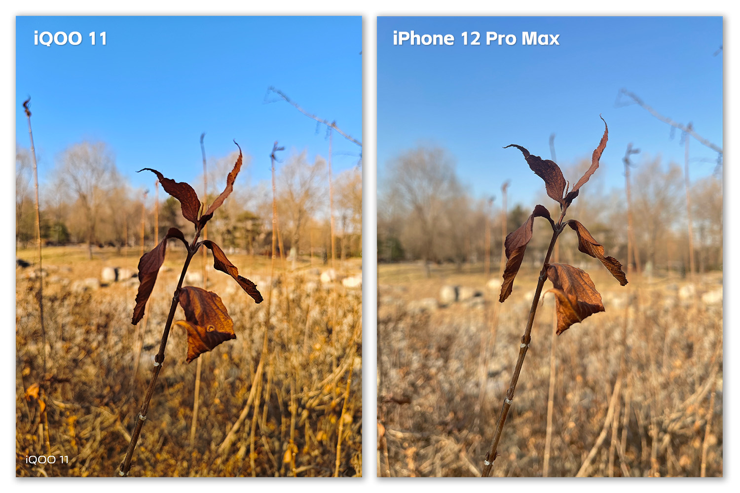 iqoo11评测玩机报告,iQOO11测评游戏体验