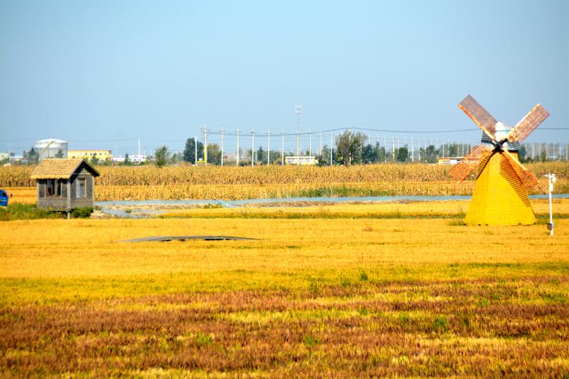 辽宁盘锦在哪个地方,去盘锦旅游哪里好