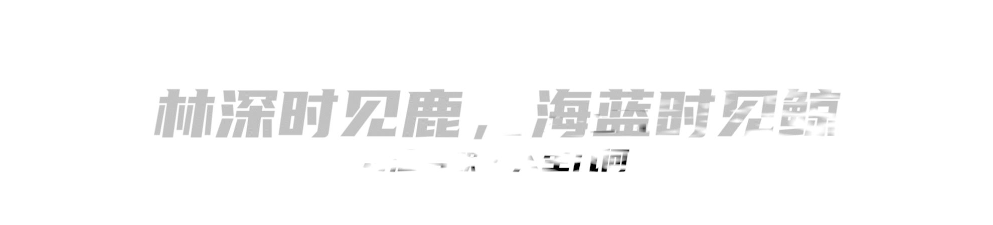 氮气中钛的脉冲Nd:YAG激光辐照如何形成TiN涂层