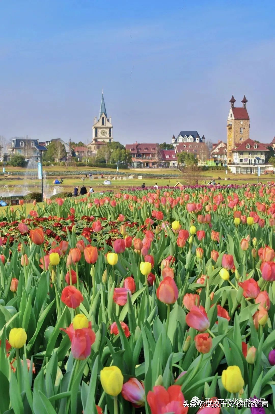 武汉人最新活动,武汉人元宵节