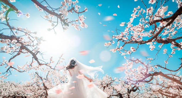 投资者说,投资者说二十年亏损