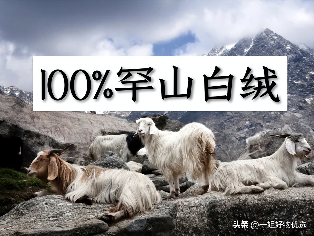 围巾奢侈品牌排行男士,男士围巾品牌大全