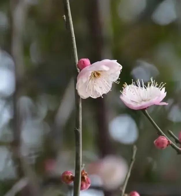 趣味答题赛介绍,趣味答题活动报道