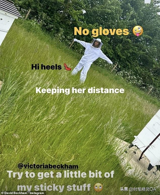 贝克汉姆自家农场,贝克汉姆家农场