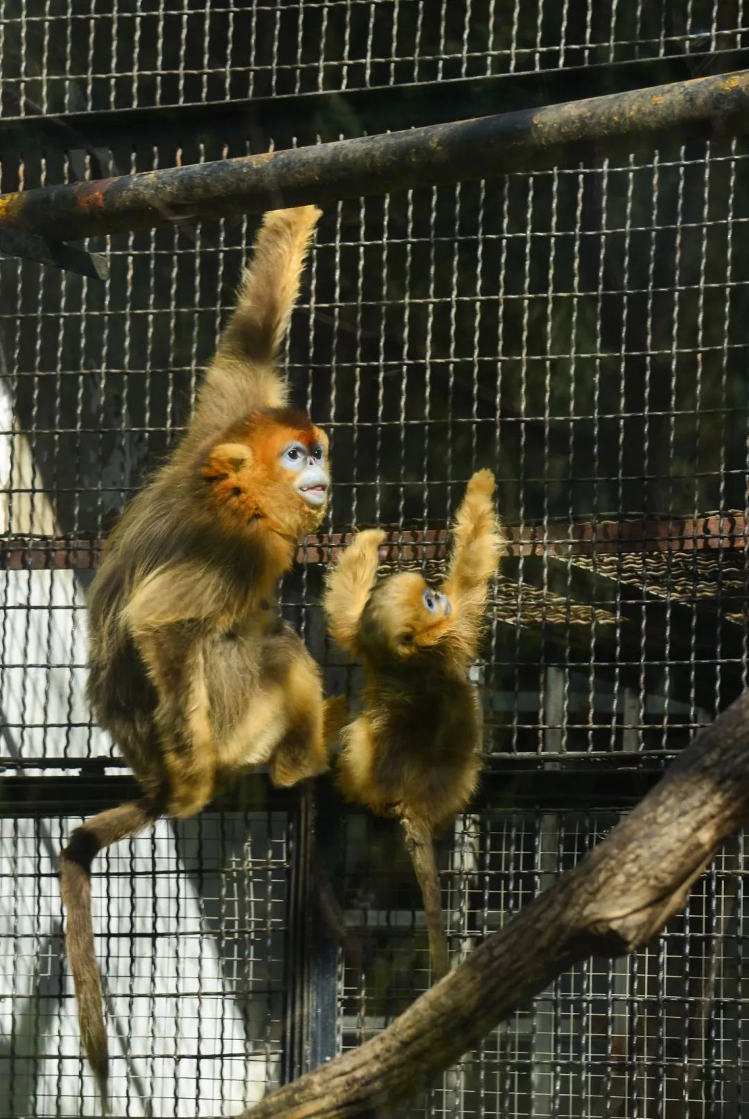 济南遛娃嗨玩这里享优惠,济南遛娃乐园周末