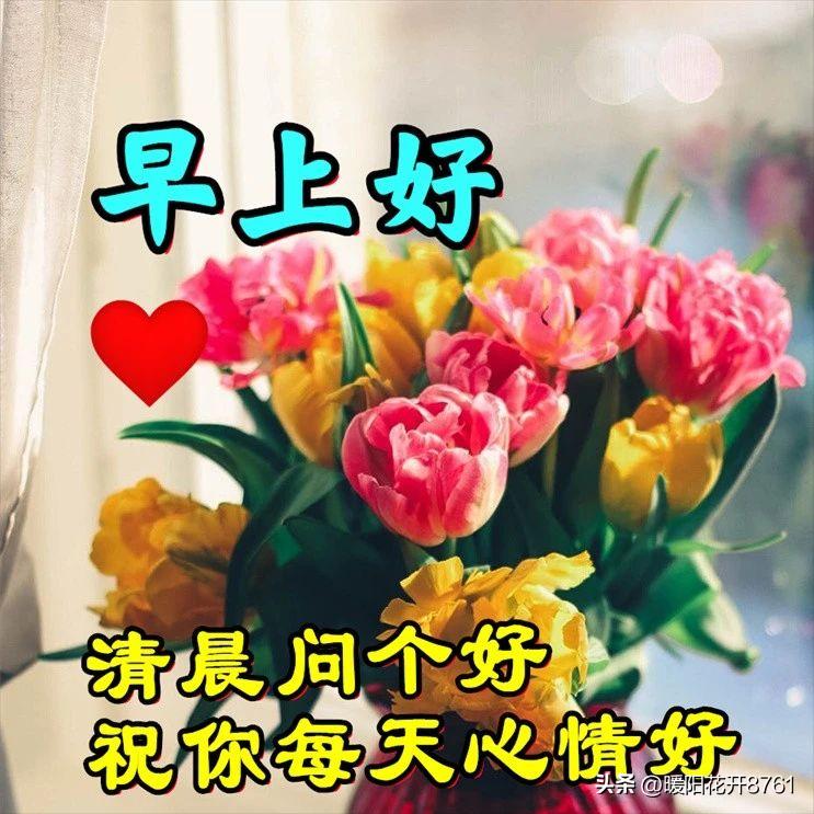 周三早安问候语简短一句话图片,早安问候语最暖心的图片