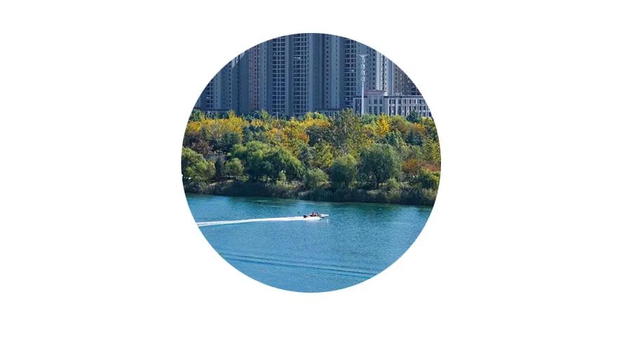 城市里最适合养老的房子,适合养老的花园惬意洋房