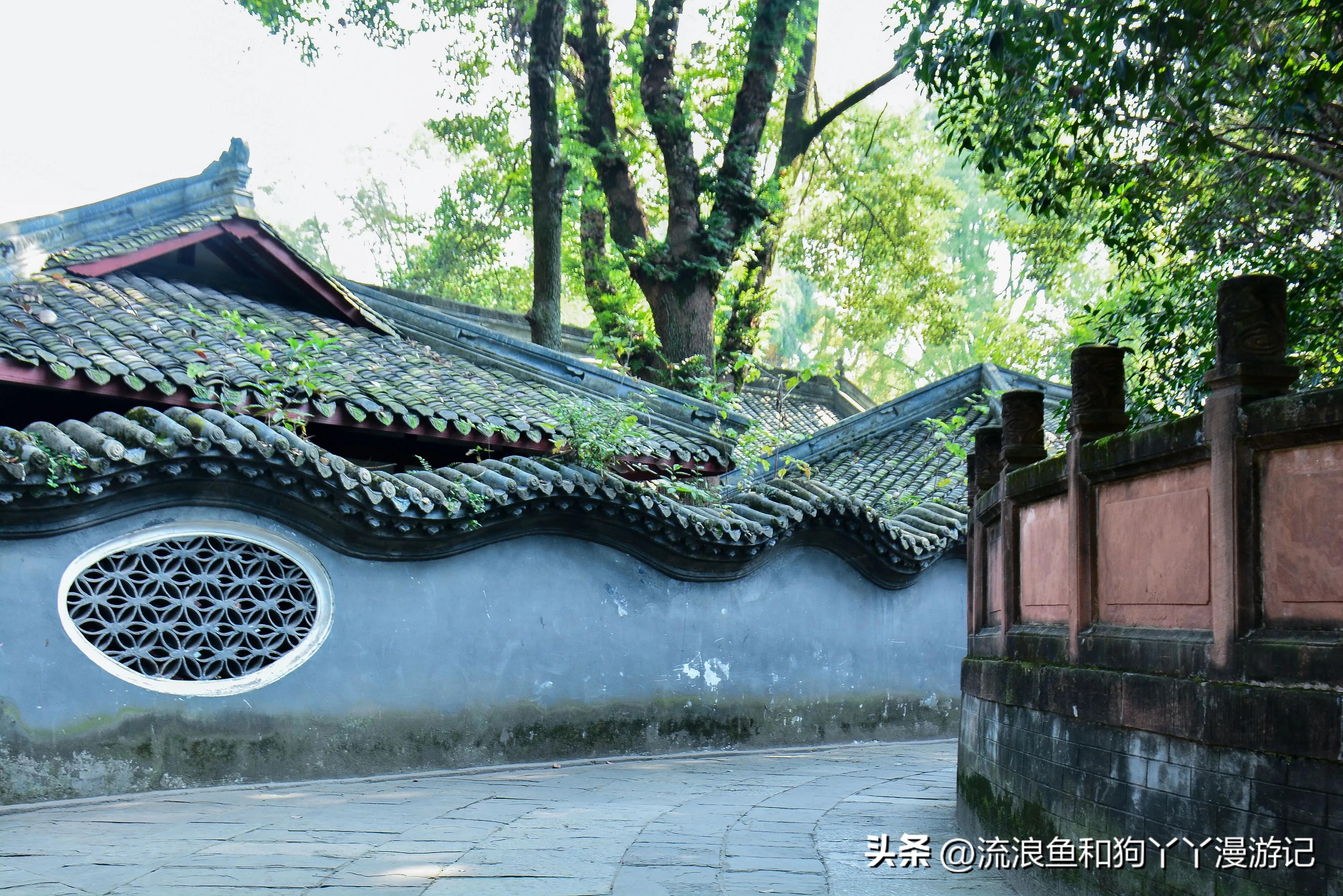 四月份成都近郊一日游好去处,2022成都近郊看雪一日游最佳去处