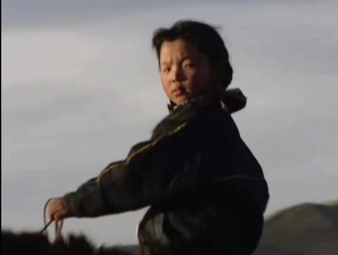 豆瓣评分9.6的蒙古纪录片,豆瓣评分9.0以上活着