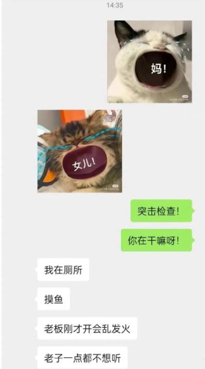 闺蜜送了一个房子,闺蜜送给我一个房子