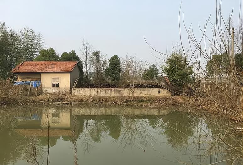 千金难买向南楼有什么说法,盖房莫盖背水路的下半句