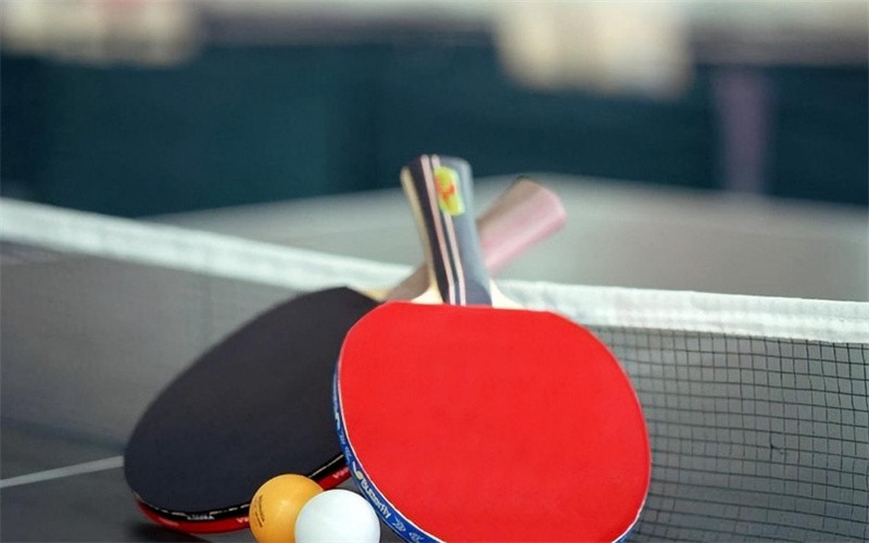 乒乓名将梁丽珍家庭情况,乒乓球运动员梁丽珍简历