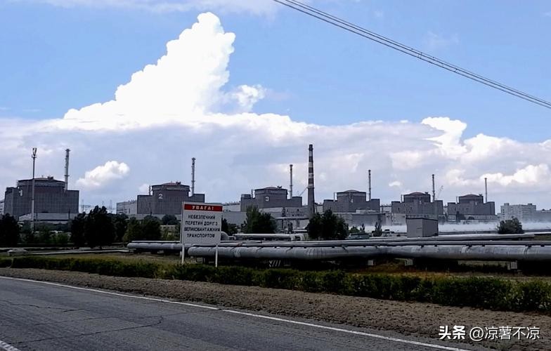 想输都难了怎么办,想输都难的原因