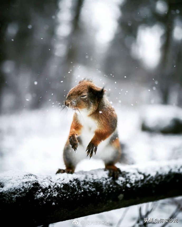 以诗见己|黄昏为她搭建了一个帐篷