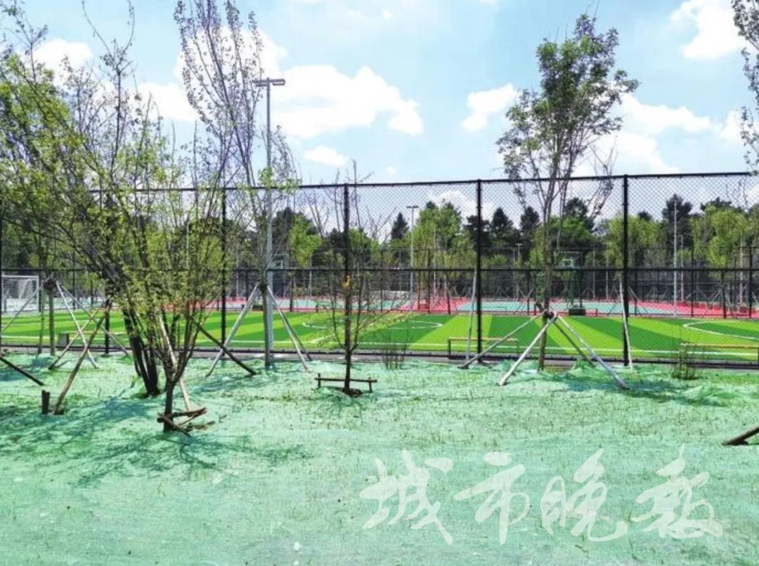 长春南湖公园跑马场,长春南湖公园沙滩改造